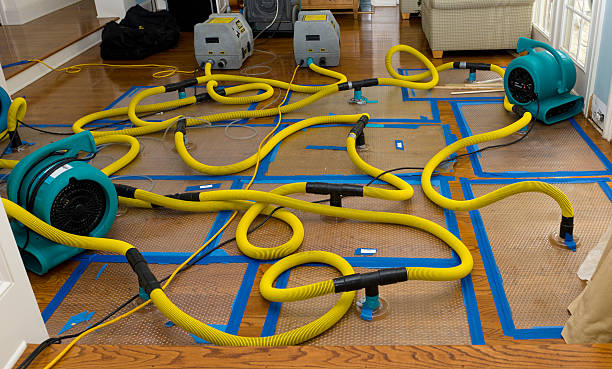 Professional Structural Drying And Dehumidification technician working in Buzzards Bay, MA